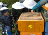 IMG-20190506-WA0014